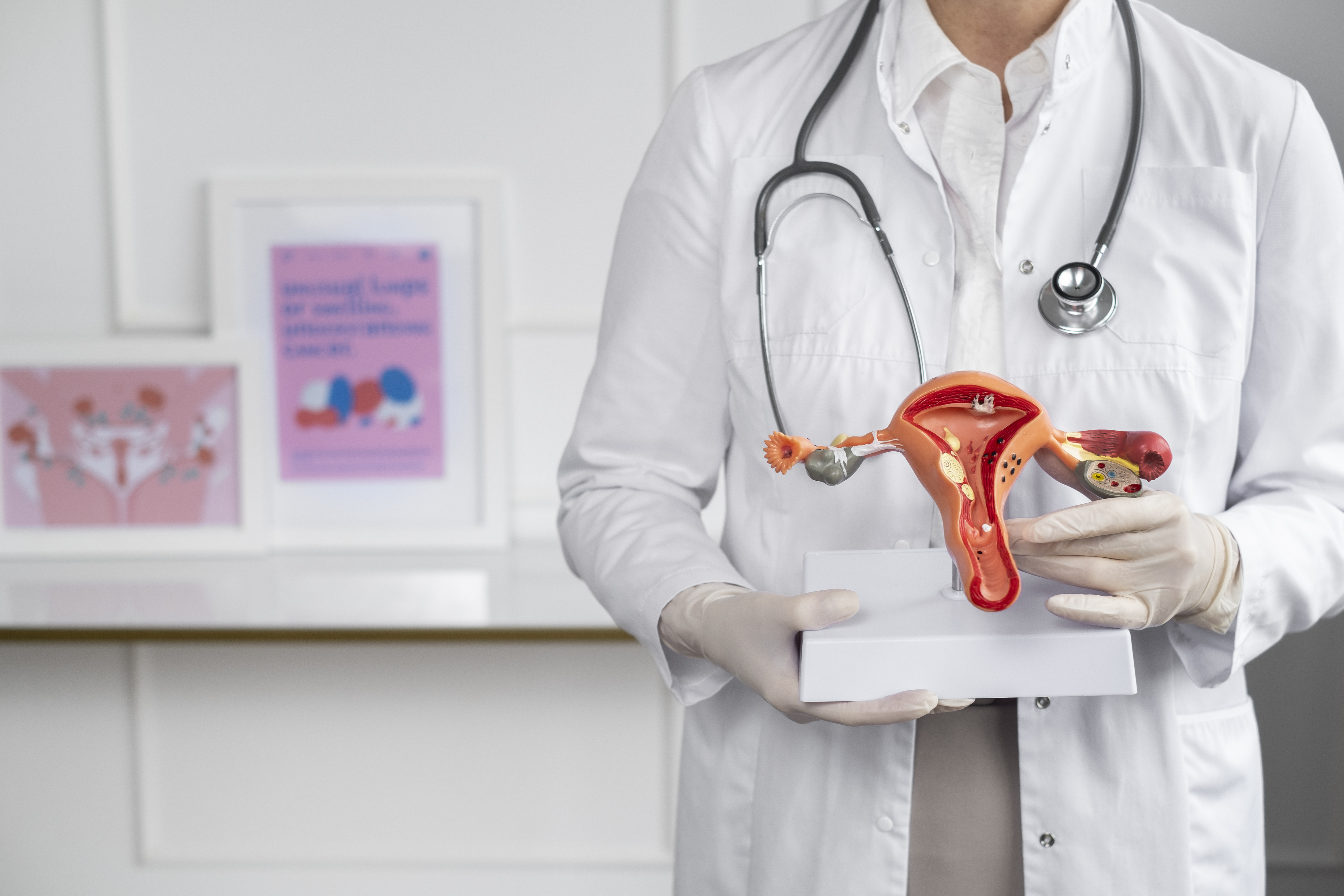 Urología 